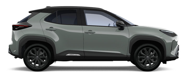 image hybrid1